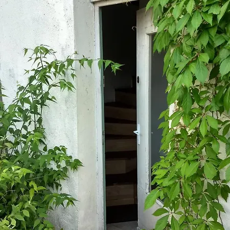 Cosy Proche Gare Avec Terrasse De Verdure *