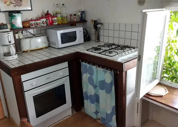 Cosy Proche Gare Avec Terrasse De Verdure 索米尔