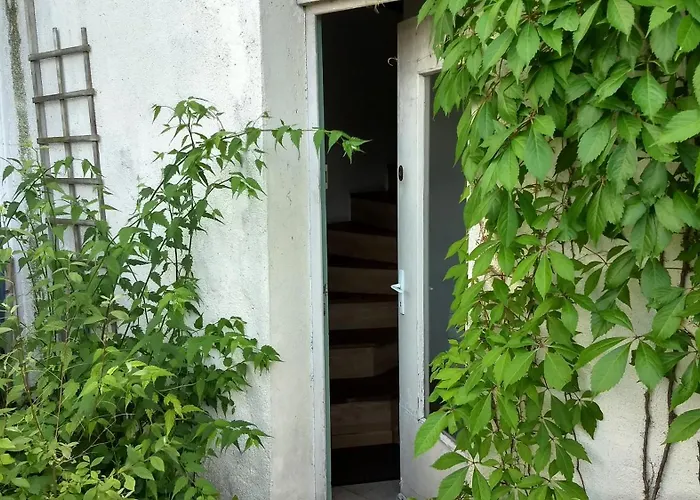 Cosy Proche Gare Avec Terrasse De Verdure *